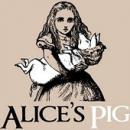 Alices-Pig